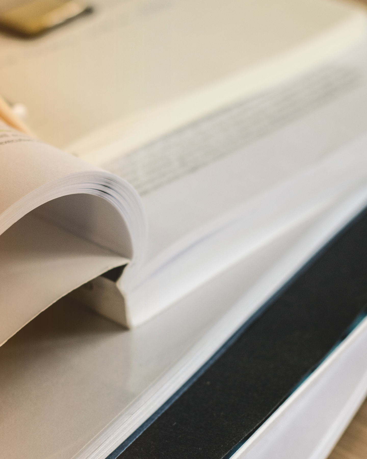 Scientific Committee